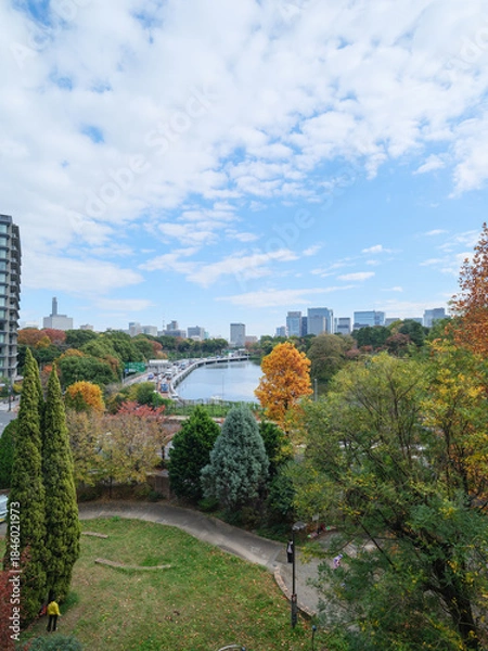 Obraz 東京都の眺望