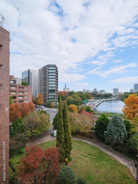 Obraz 東京都の眺望