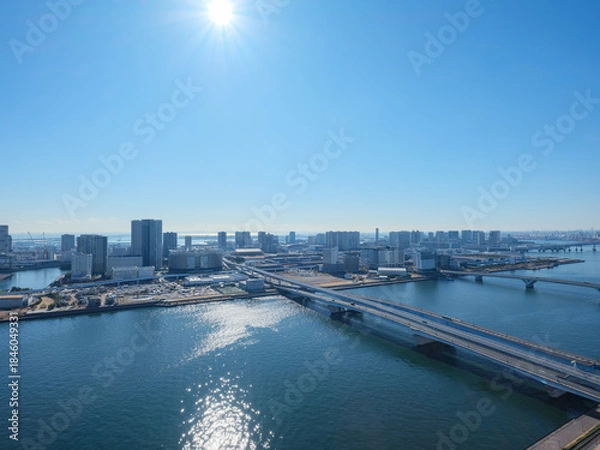 Fototapeta 東京都の眺望