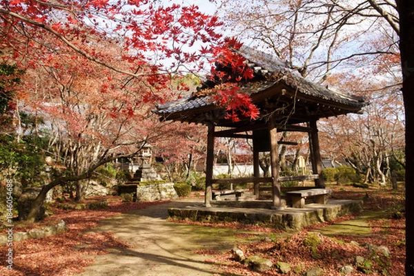 Obraz 勝持寺の紅葉