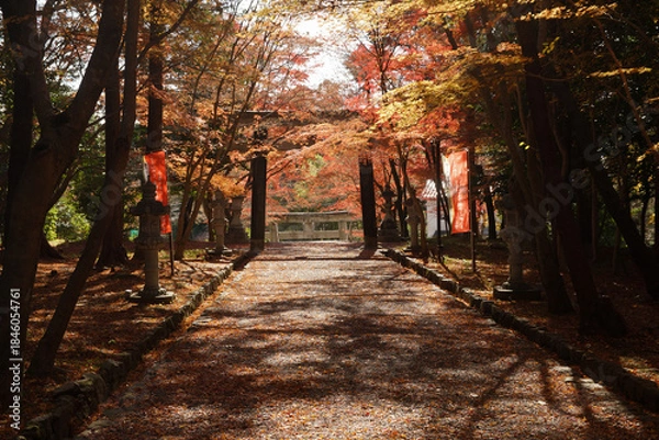 Obraz 大原野神社の紅葉