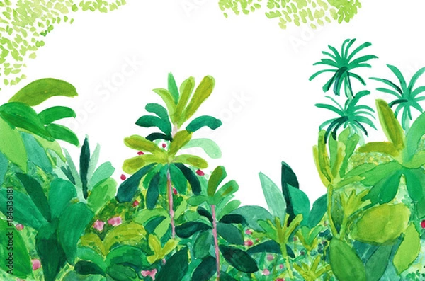 Obraz 手描きイラスト　生い茂る植物