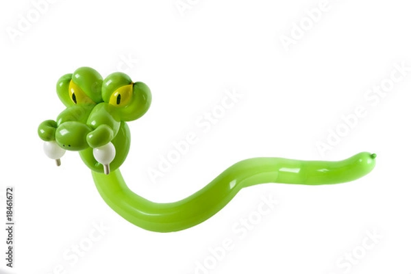 Obraz Balloon snake isolated on white