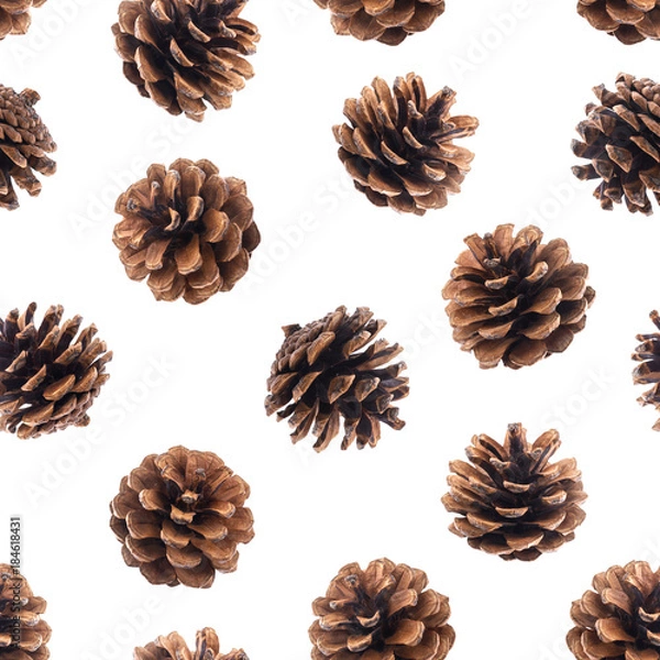 Fototapeta Pine cones seamless pattern