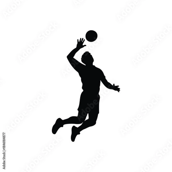 Obraz Volleyball silhouette icon vector flat design.