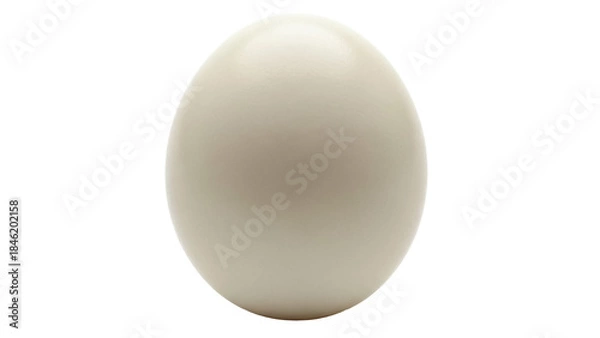 Fototapeta Smooth beige egg isolated PNG on transparent background, organic food source for cooking and baking