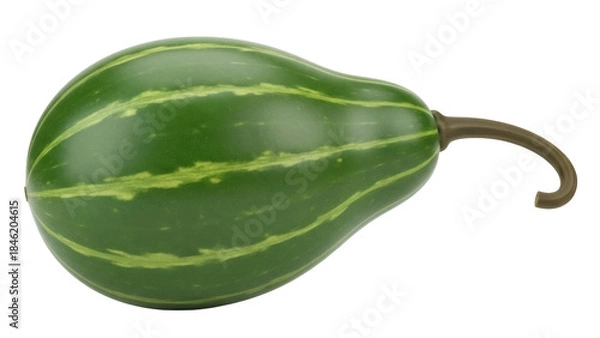 Fototapeta Green striped pear gourd PNG isolated on transparent background, decorative autumn squash for Thanksgiving and Halloween