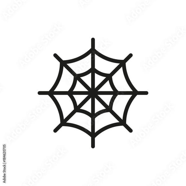 Obraz spiderweb 