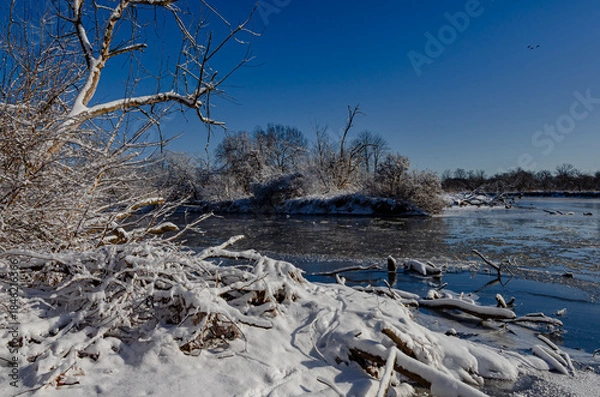 Obraz 649-65 Winter Shoreline