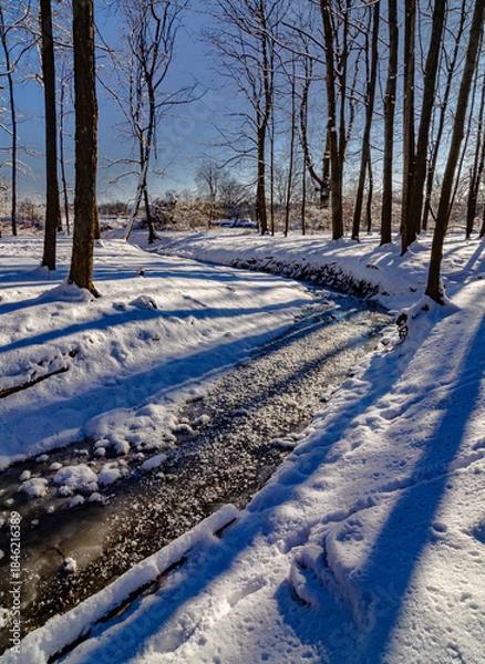 Obraz 649-56 Trunk Shadows