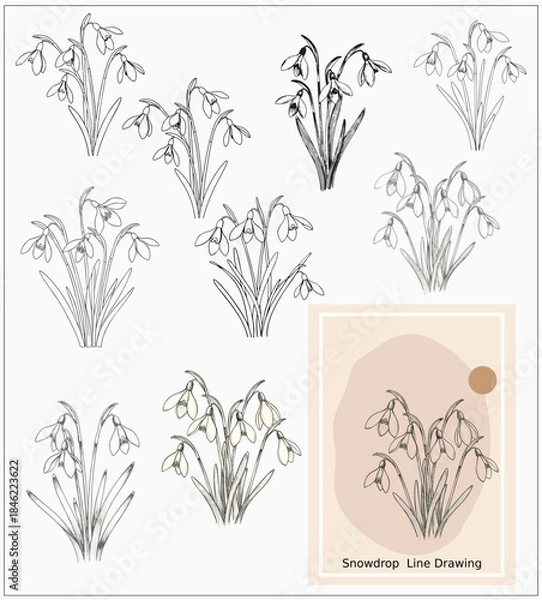 Obraz set of vector snowdrop linedrawing elements
