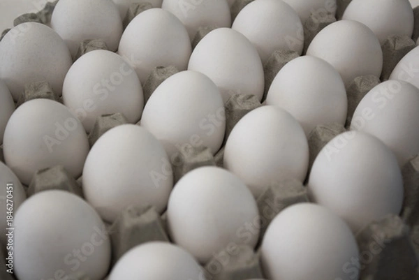 Obraz These are white eggs in an egg carton.