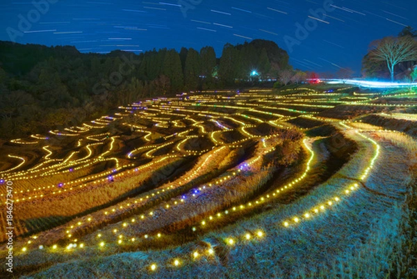 Obraz 大山千枚田のライトアップ