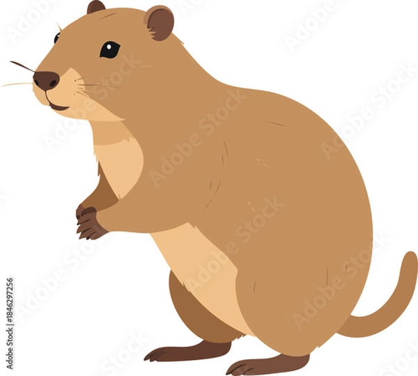 Fototapeta beaver vector illustration