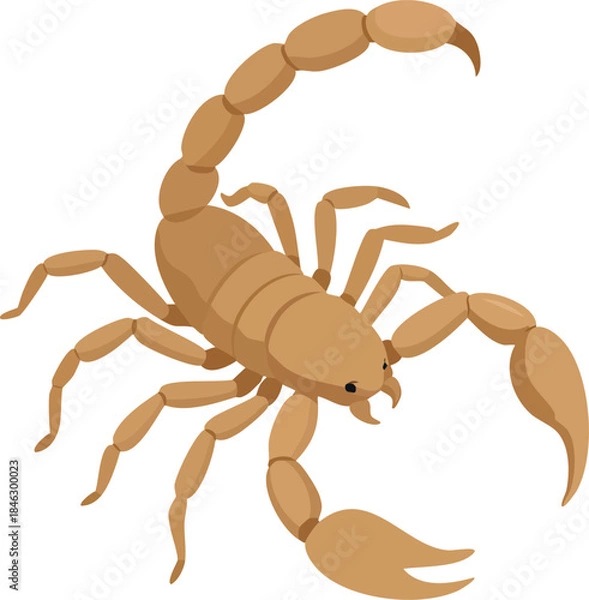 Fototapeta scorpion vector illustration