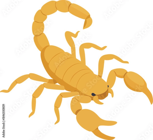 Fototapeta scorpion vector illustration