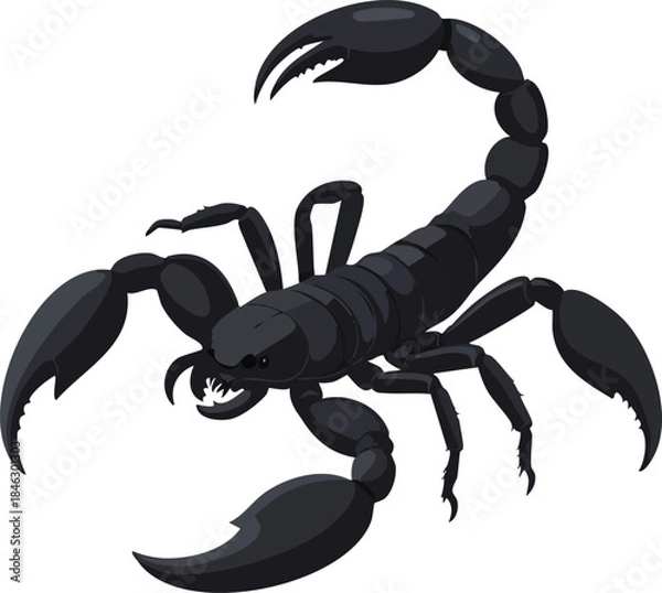 Fototapeta scorpion isolated on white