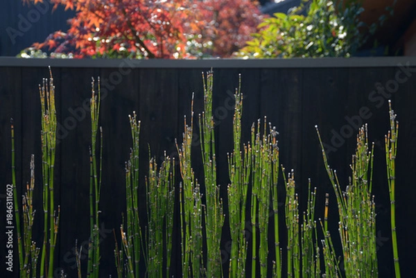 Obraz 街角の風景　スケッチ写真