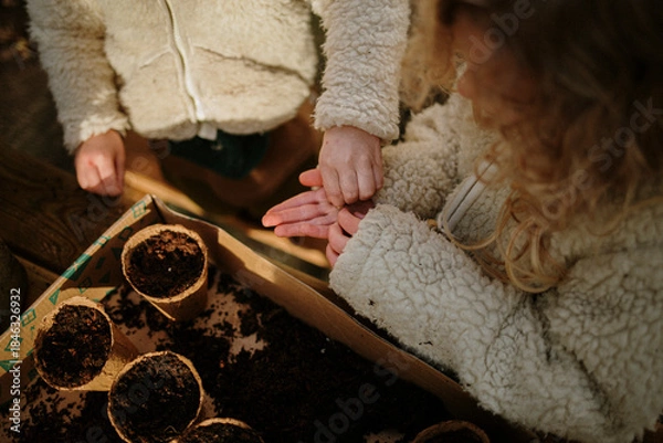 Obraz Children preparing seeds for planting in small compost pots.