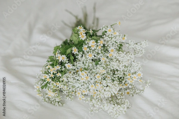 Obraz Bouquet of chamomile and baby's breath flowers on soft surface