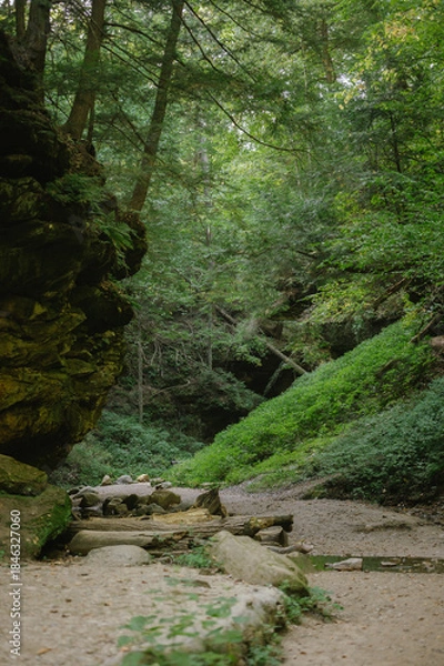 Obraz Shaded forest trail with rocks and logs at Turkey Run Park