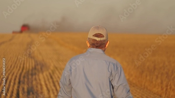 Fototapeta farmer working in wheat field, combine harvester ploughing in wheat field, agriculture tablet, intersection of farming and technology, digital transformation in agriculture, data enhanced agriculture