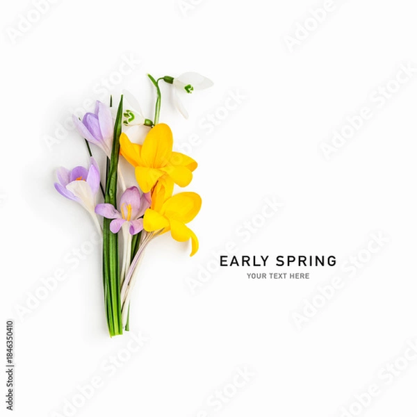 Obraz Flower arrangement with crocuses and snowdrops