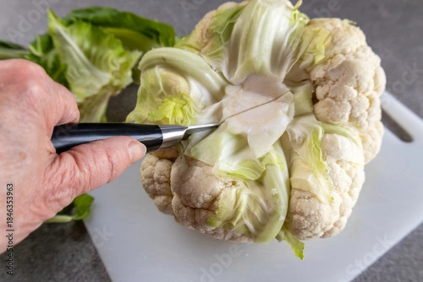 Fototapeta Fresh cauliflower being cut on white cutting board