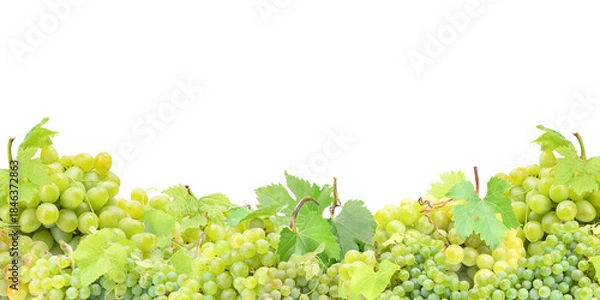 Obraz Green grape isolated