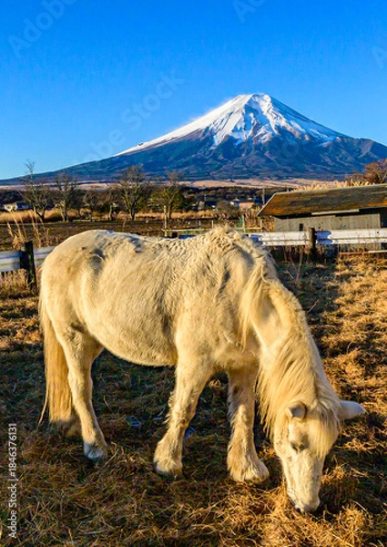 Obraz 忍野村から富士山と馬