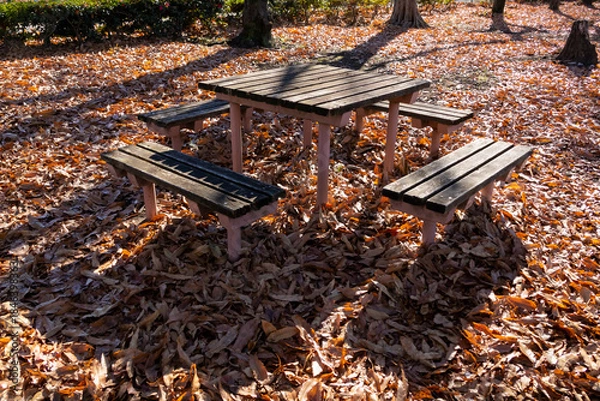 Obraz 落ち葉で埋め尽くされたベンチのある初冬の大間木公園