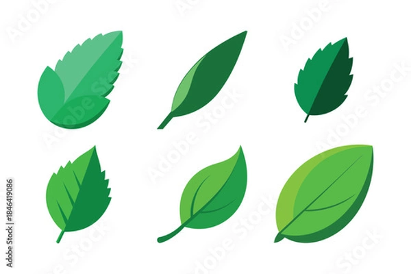 Obraz Flat Vector Green Leaves Set