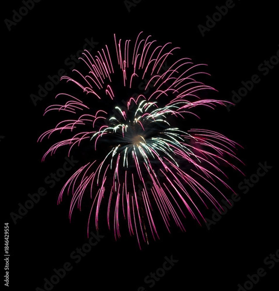 Obraz Pink firework sparkling on black background for celebration and anniversary