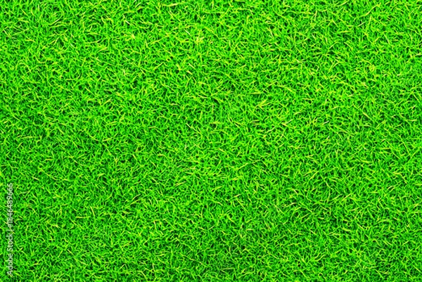 Fototapeta 芝生背景素材　パターン　02