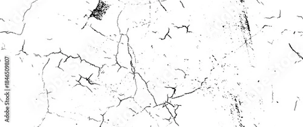 Obraz black and white background