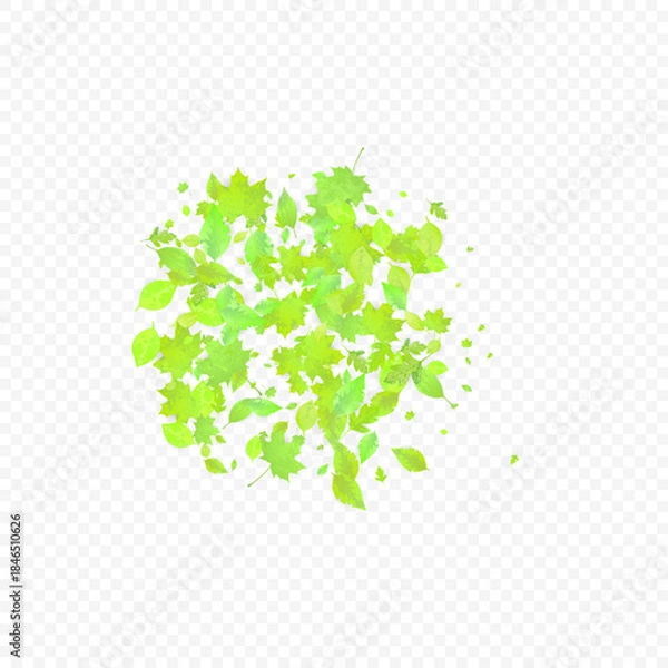 Obraz green eco background