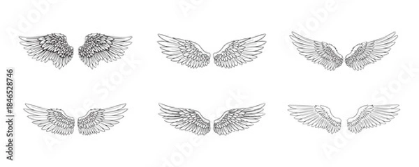 Obraz Sketch angel wings