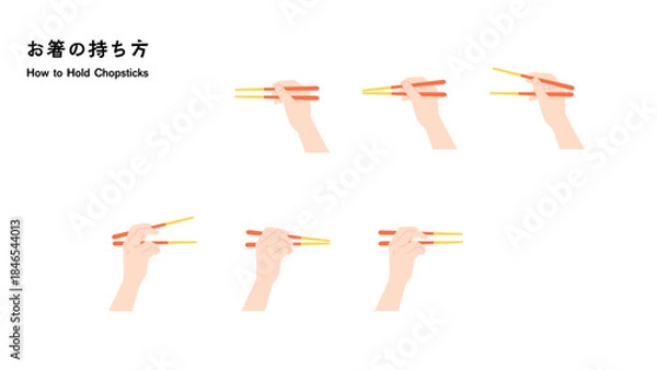 Obraz お箸の持ち方・動作