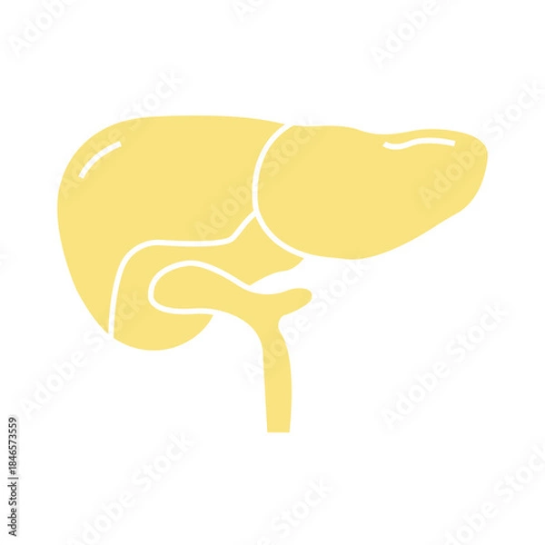 Obraz Liver icon desigbn