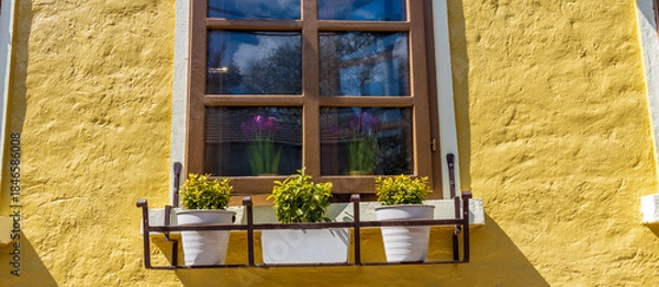 Obraz Window sill with three potted plants and a window