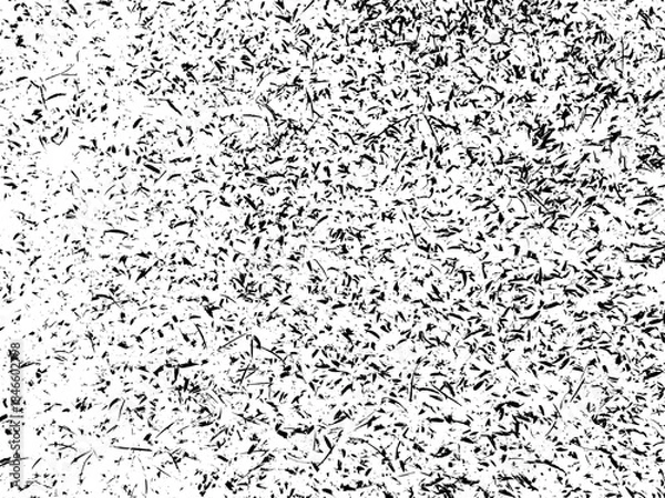 Obraz Abstract Black and White Grain Noise Texture Overlay Background