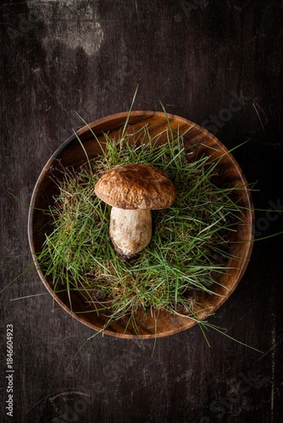 Obraz Porcini mushroom
