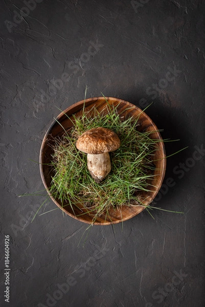Obraz One porcini mushroom