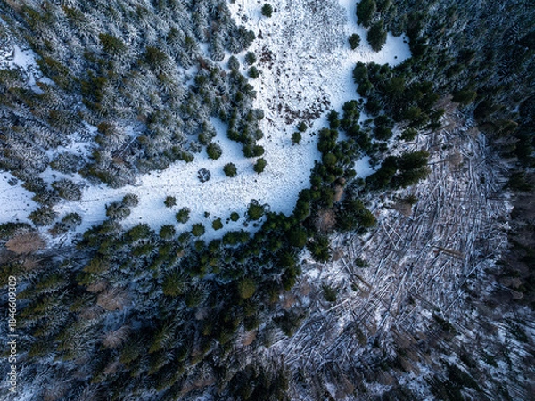 Fototapeta Deforestation and global warming. Aerial view of a mountain forest devastated by wind or storm, showing thousands of fallen trees covered in light snow during winter or early spring.