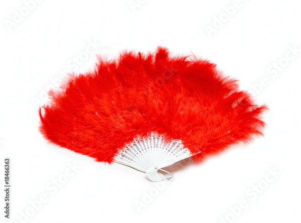 Obraz Red fan from feather