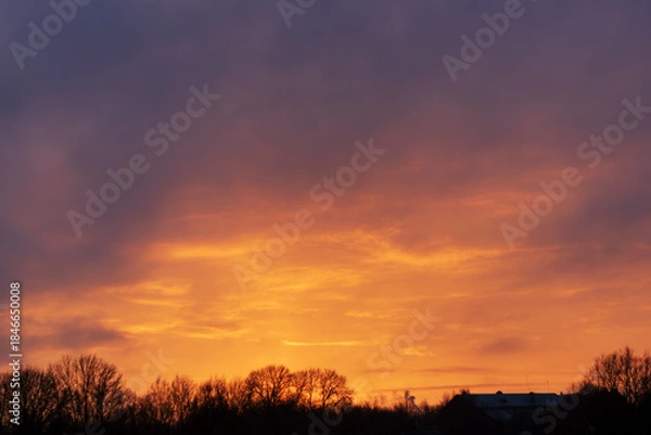 Obraz Dramatic sunset sky with orange clouds and dark forest silhouette