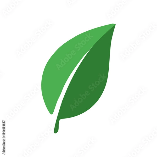 Obraz leaf, nature, green, plant, eco