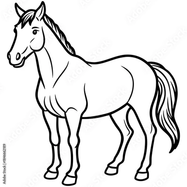 Obraz Standing Horse Side View Vector Illustration