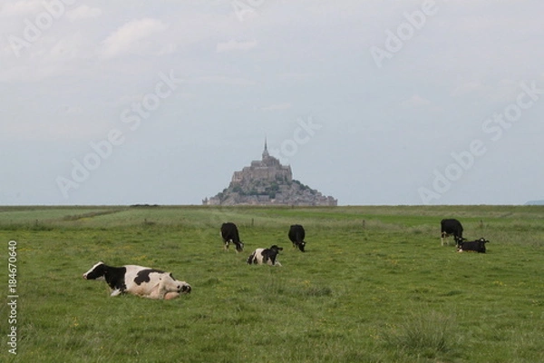 Obraz Mont saint michel