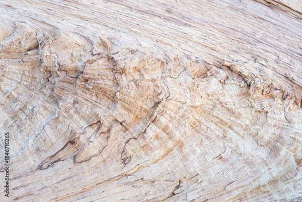 Fototapeta Split Oak Log Background